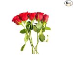 5pcs Rose